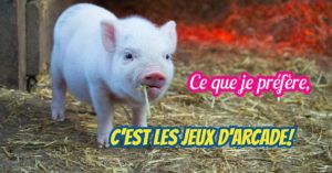 cochon